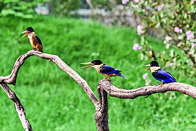 《暗黑破坏神4：憎恨之躯》2.0更新或终于为游戏添加奶牛关