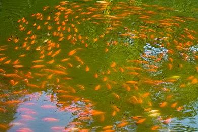 《超级冲锋：开箱》在Xbox办公室走红 一路传到斯宾塞耳中